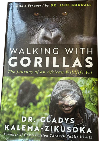 Walking with the Gorilla